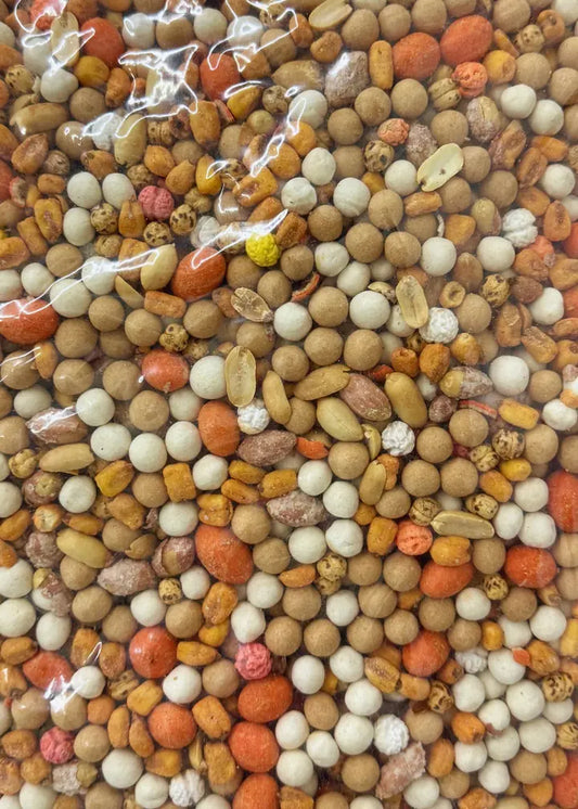 Düğün & Kına Gemischte Nüsee 5kg
