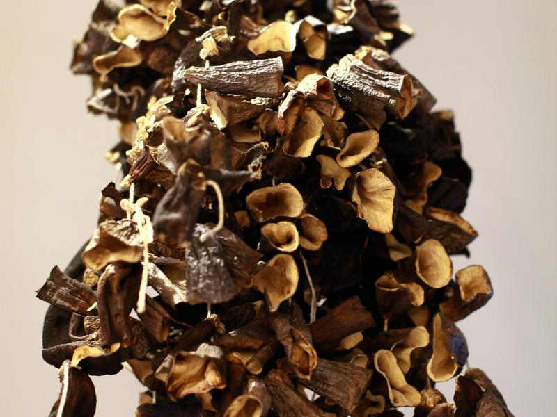 Getrocknete Aubergine aus Gaziantep 50 Stück